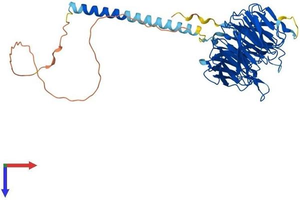 RRP9 Protein (AA 1-475) (His tag)