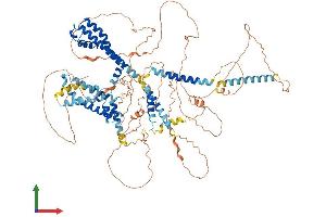 Protein Structure (PS) image for Potassium Voltage-Gated Channel, KQT-Like Subfamily, Member 5 (KCNQ5) (AA 1-932) protein (His tag) (ABIN7554343)