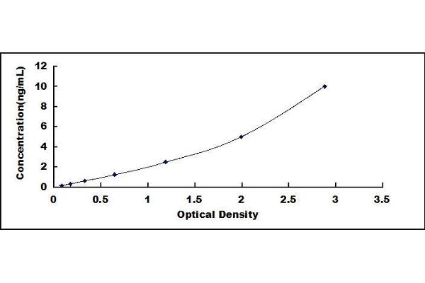 UBE2C ELISA Kit