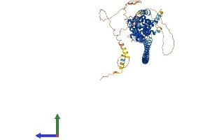 Protein Structure (PS) image for Coiled-Coil Domain Containing 138 (CCDC138) (AA 1-680) protein (His tag) (ABIN7556957)