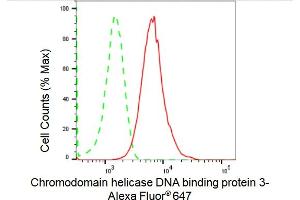 Flow cytometric analysis of Chromodomain helicase DNA binding protein 3 expression in HepG2 cells using Chromodomain helicase DNA binding protein 3 antibody (ABIN7798068), 1:2,000). (Rekombinanter CHD3 Antikörper)