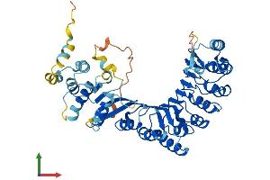 AlphaFold protein structure predicition of Human Recombinant PRAMEF6 Protein, UniprotID Q5VXH4