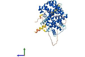 Protein Structure (PS) image for RAR-Related Orphan Receptor B (RORB) (AA 1-470) protein (His tag) (ABIN7555279)
