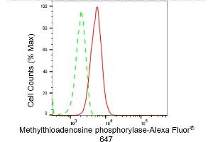 Flow cytometric analysis of Methylthioadenosine phosphorylase expression in HT- cells using Methylthioadenosine phosphorylase antibody (ABIN7799397), 1:2,000).
