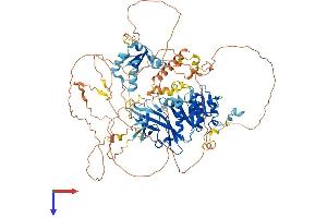 Lipin 2 Protein (LPIN2) (AA 1-896) (His tag)