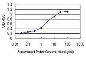 Detection limit for recombinant GST tagged LNX2 is approximately 0. (LNX2 Antikörper  (AA 1-100))