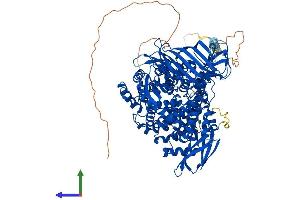 Protein Structure (PS) image for Leucyl/cystinyl Aminopeptidase (LNPEP) (AA 1-1025) protein (His tag) (ABIN7554373)