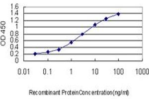 Detection limit for recombinant GST tagged RAB33B is approximately 0. (RAB33B Antikörper  (AA 117-206))