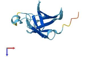 MTCP1 Protein (AA 1-107) (His tag)