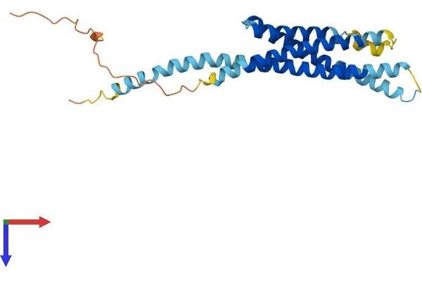 MS4A2 Protein (AA 1-235) (His tag)