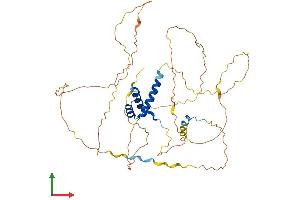 Protein Structure (PS) image for Homeobox D3 (HOXD3) (AA 1-433) protein (His tag) (ABIN7562769)