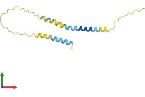 AlphaFold protein structure predicition of Human Recombinant BEX2 Protein, UniprotID Q9BXY8
