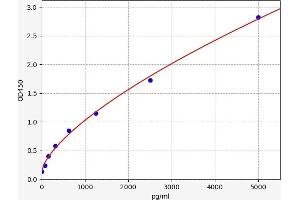 Typical standard curve (SERPINA3C ELISA Kit)