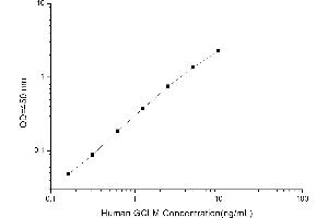 Typical standard curve (GCLM ELISA Kit)
