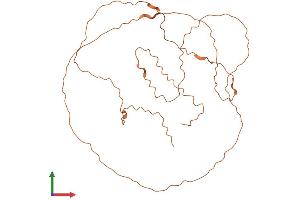 AlphaFold protein structure predicition of Human Recombinant LINC00322 Protein, UniprotID Q6ZN03