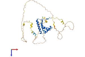 SOX7 Protein (AA 1-380) (His tag)