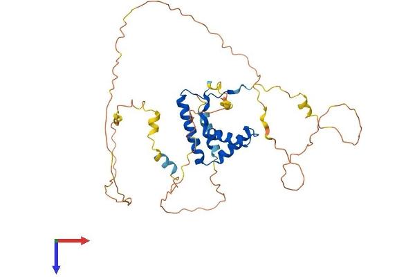 SOX7 Protein (AA 1-380) (His tag)