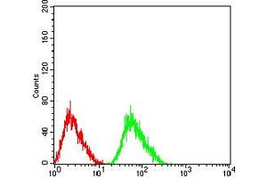 Flow Cytometry (FACS) image for anti-Cholinergic Receptor, Nicotinic, alpha 5 (Neuronal) (CHRNA5) (AA 23-254) antibody (ABIN5611355)
