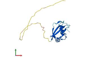 Protein Structure (PS) image for Autophagy Related 12 (ATG12) (AA 1-141) protein (His tag) (ABIN7560588)