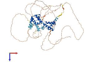 HNF1A Protein (AA 1-628) (His tag)