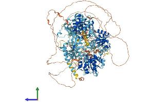 Protein Structure (PS) image for Strawberry Notch Homolog 1 (SBNO1) (AA 1-1390) protein (His tag) (ABIN7564003)