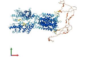 Protein Structure (PS) image for Patched 2 (PTCH2) (AA 1-1182) protein (His tag) (ABIN7562337)