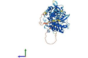 AlphaFold protein structure predicition of Human Recombinant RNGTT Protein, UniprotID O60942