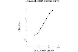 Image no. 1 for AlkB, Alkylation Repair Homolog 3 (ALKBH3) ELISA Kit (ABIN5564610)