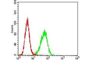 Fig. (Trefoil Factor 2 Antikörper  (AA 20-125))