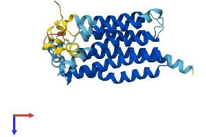 MMD2 Protein (AA 1-270) (His tag)