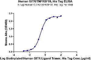 Immobilized Human GITR, His Tag at 1 μg/mL (100 μL/Well). (TNFRSF18 Protein (AA 26-161) (His tag))