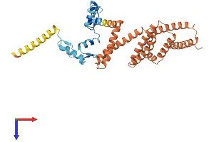 ZNF781 Protein (AA 1-355) (His tag)