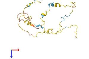 TDRP/C8orf42 Protein (AA 1-182) (His tag)