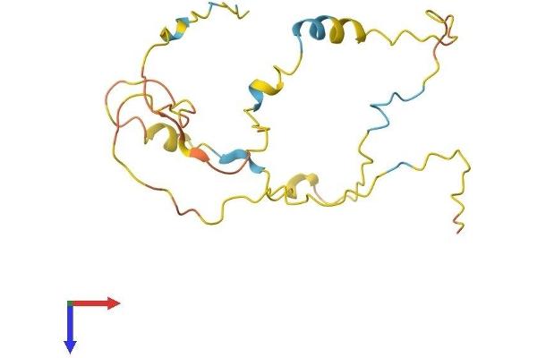 TDRP/C8orf42 Protein (AA 1-182) (His tag)