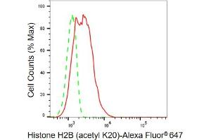 Flow cytometric analysis of Histone H2B (acetyl K20) expression in C2C12 cells using Histone H2B (acetyl K20) antibody (ABIN7798944), 1:2,000). (Rekombinanter Histone H2B Antikörper  (H2BK20ac))