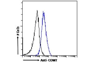 (ABIN185328) Flow cytometric analysis of paraformaldehyde fixed A431 cells (blue line), permeabilized with 0. (COMT Antikörper  (N-Term))