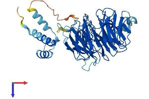 CSTF1 Protein (AA 1-431) (His tag)