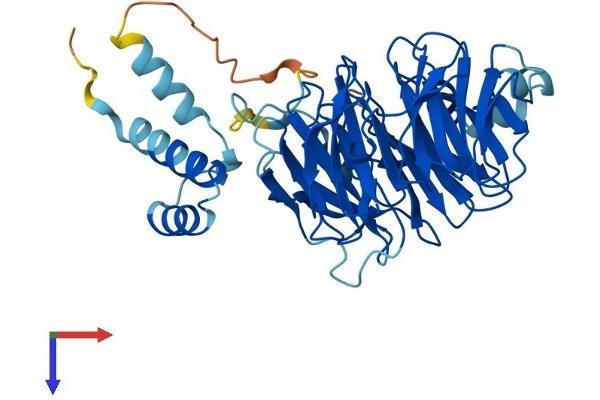 CSTF1 Protein (AA 1-431) (His tag)
