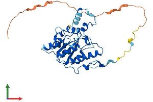 AlphaFold protein structure predicition of Mouse Recombinant Dtwd2 Protein, UniprotID Q9D0U1