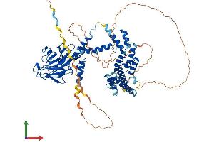 Protein Structure (PS) image for Importin 9 (IPO9) (AA 1-653) protein (His tag) (ABIN7563508)