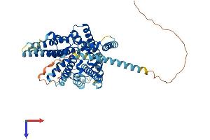 SOAT2 Protein (AA 1-522) (His tag)