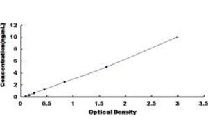 Typical standard curve (CCR7 ELISA Kit)