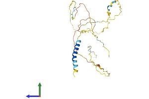 Protein Structure (PS) image for Linker For Activation of T Cells (LAT) (AA 1-262) protein (His tag) (ABIN7554406)