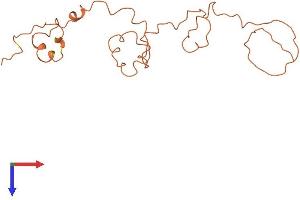 AlphaFold protein structure predicition of Human Recombinant KRTAP4-5 Protein, UniprotID Q9BYR2