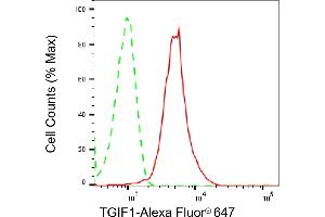 Flow cytometric analysis of TGIF1 expression in HepG2 cells using TGIF1 antibody (ABIN7800535), 1:2,000). (Rekombinanter TGIF1 Antikörper)