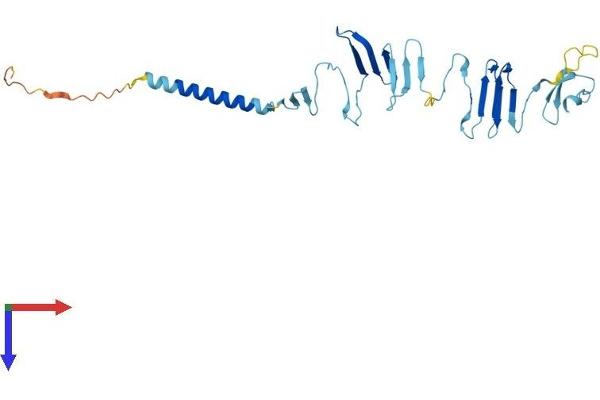 SGCG Protein (AA 1-291) (His tag)