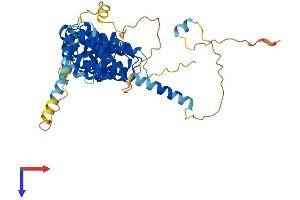 Bystin-Like Protein (BYSL) (AA 1-437) (His tag)