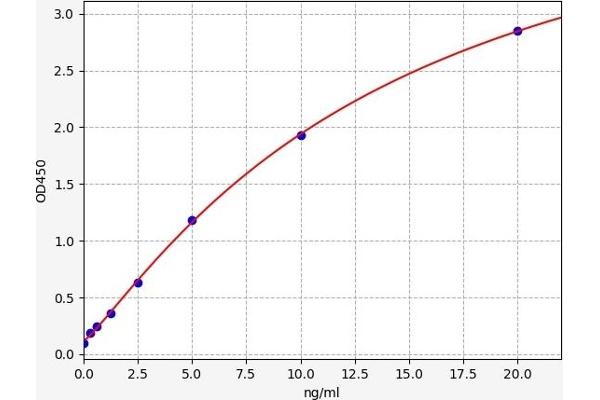 SUMO2 ELISA Kit