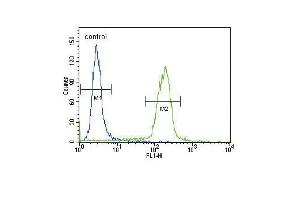 B2M Antibody (N-term) (ABIN389258 and ABIN2839396) flow cytometric analysis of Hela cells (right histogram) compared to a negative control cell (left histogram). (beta-2 Microglobulin Antikörper  (N-Term))