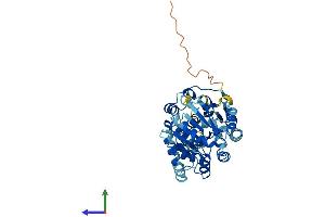 Protein Structure (PS) image for Eukaryotic Translation Initiation Factor 4A2 (EIF4A2) (AA 1-407) protein (His tag) (ABIN7562829)